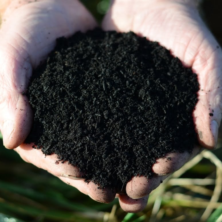 organic soil improver held in hands