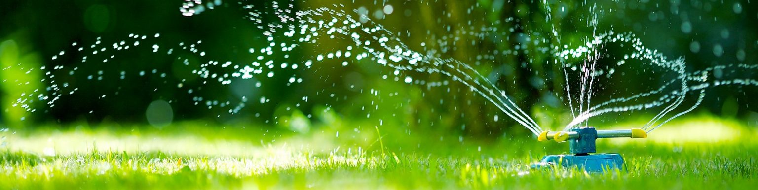 Lawn hydration treatment for your lawn in Surrey & Sussex