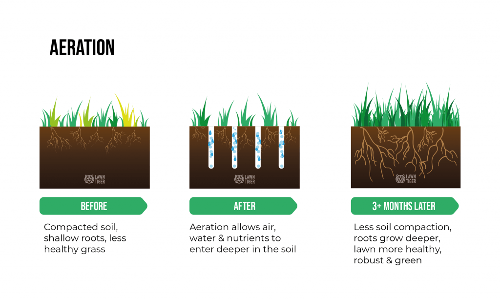 Lawn Aeration benefit illustration