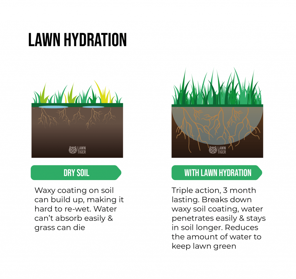 Lawn Hydration service explanation illustration