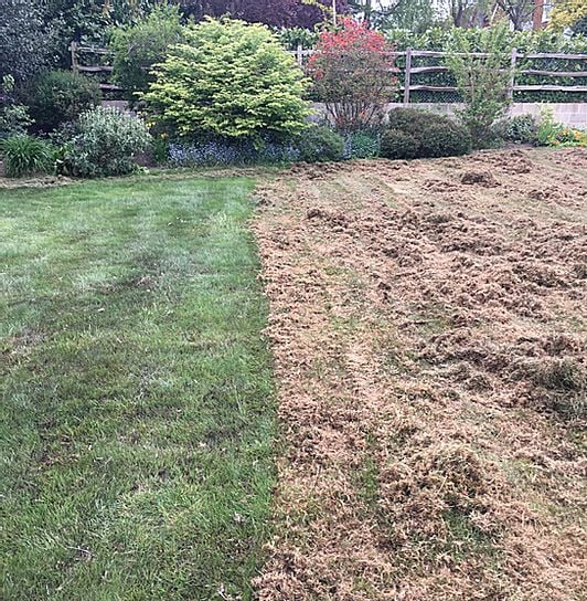 Scarify in Progress