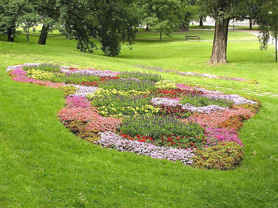 Spring Flowers