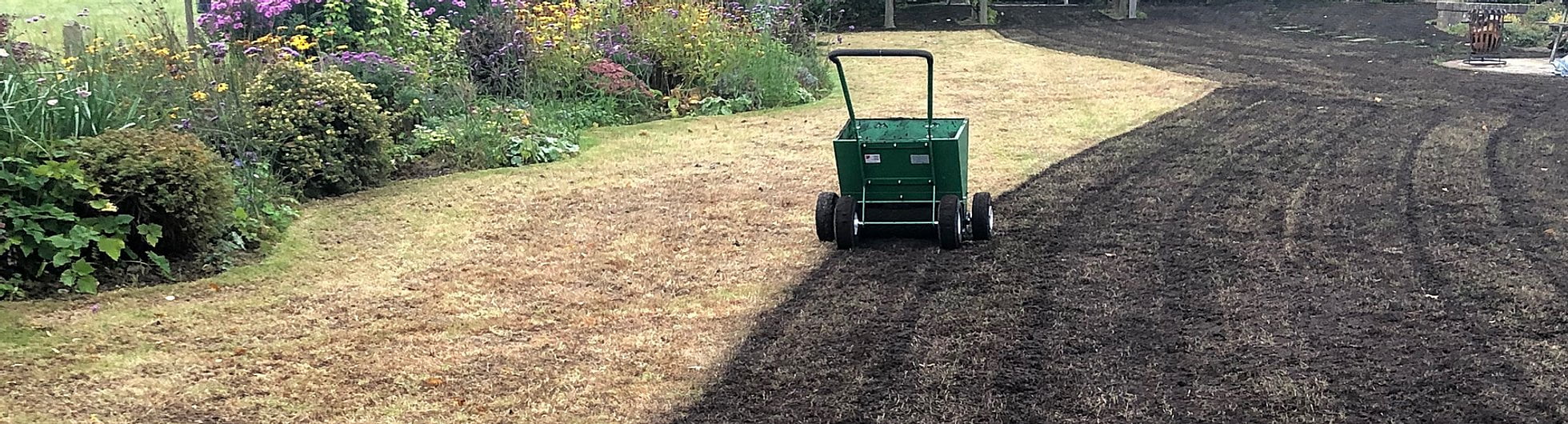 Top Dressing Lawn Tiger Horley, Reigate, Redhill, Crawley Down