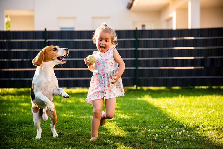 Dog and Girl Playing