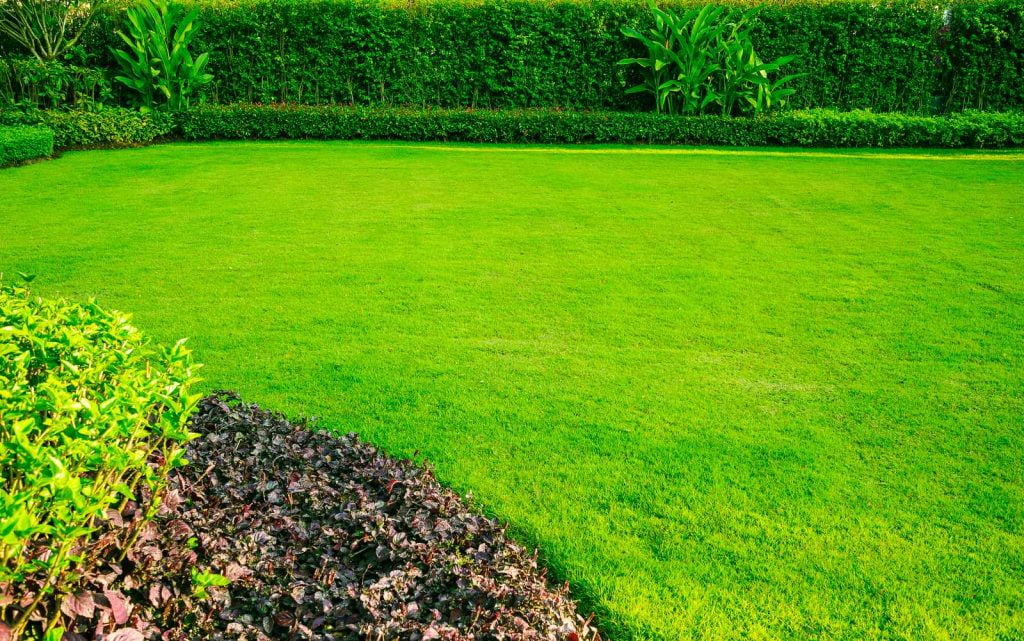 bright green lawn improver