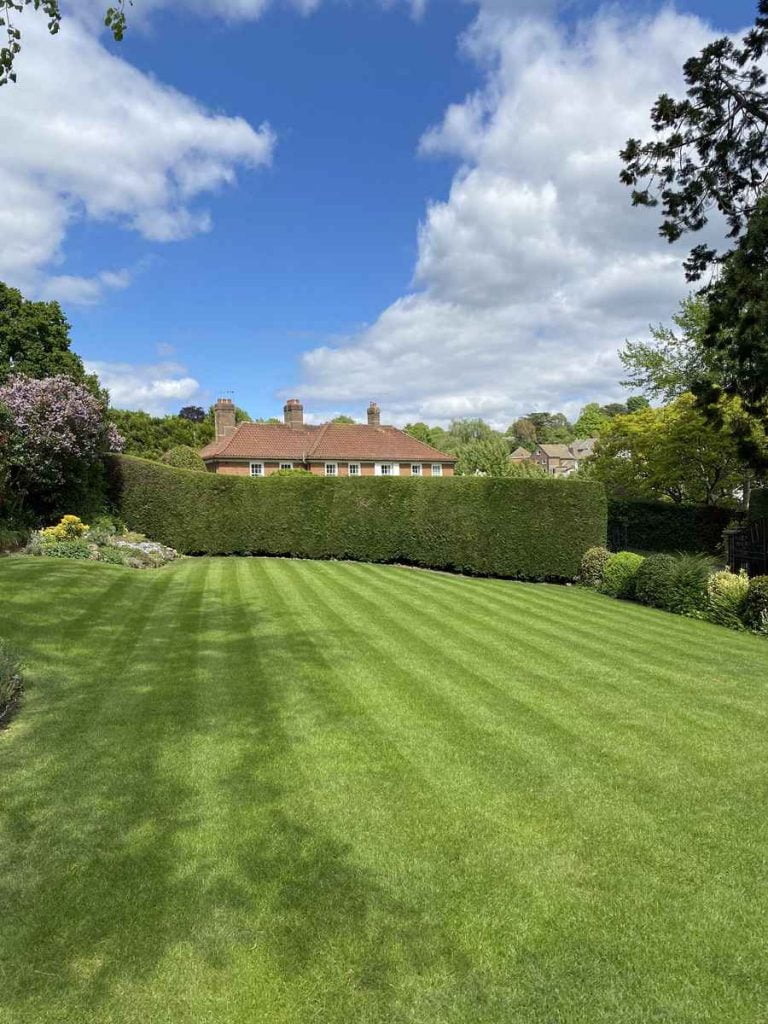 lush green lawn in Reigate