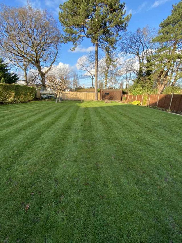 lawn with stripes