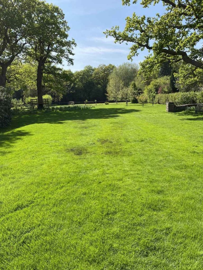 renovated lawn in good condition