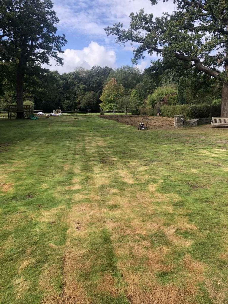 Dorking Lawn in poor condition