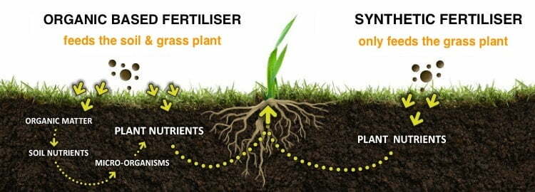 illustration to show different between organic based feertiliser compared to synthetic fertiliser
