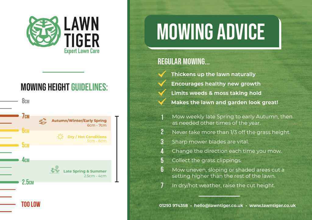 Lawn Mowing Advice