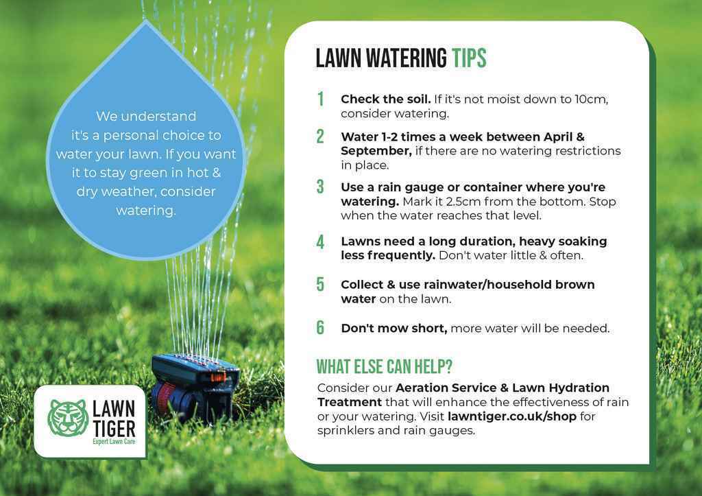 lawn watering advice