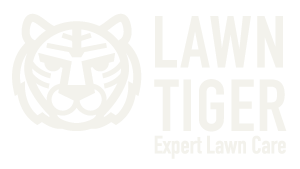 Lawn Tiger