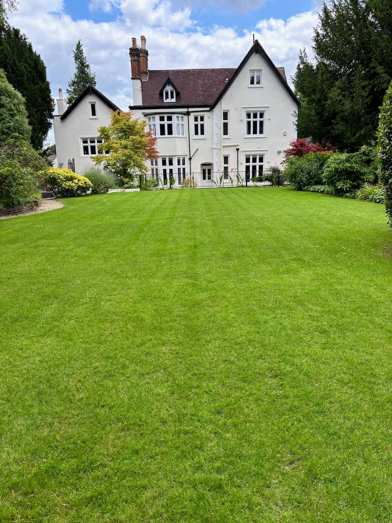 A lush green lawn after it has been renovated