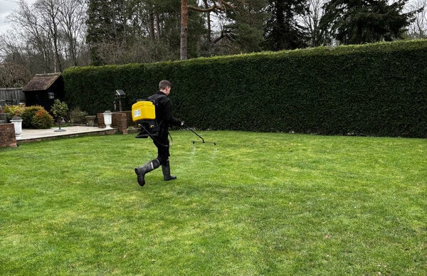 spraying a lawn