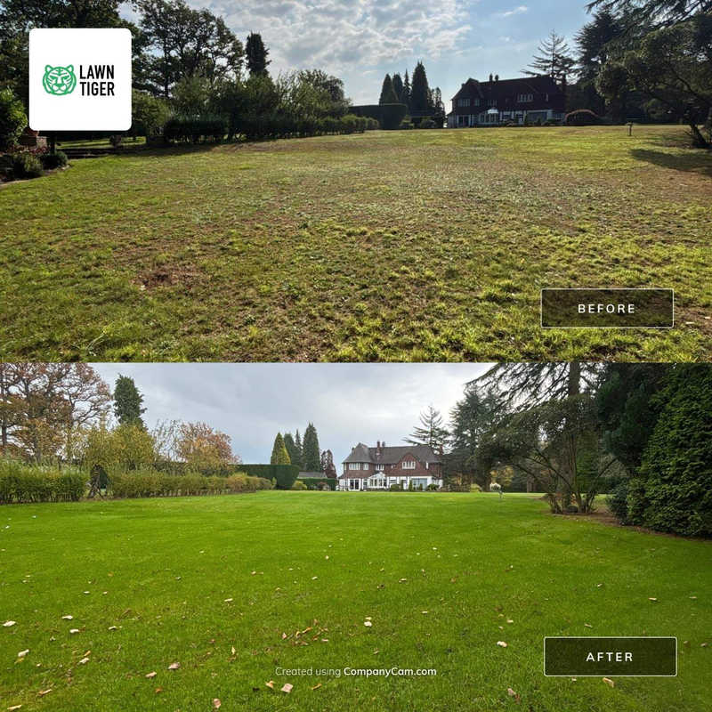 Large lawn renovation photo showing before and after.
