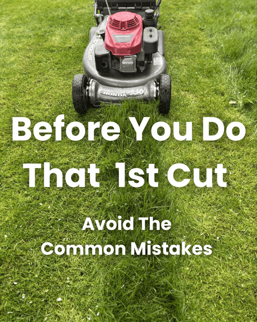 Lawn mower cutting long green grass