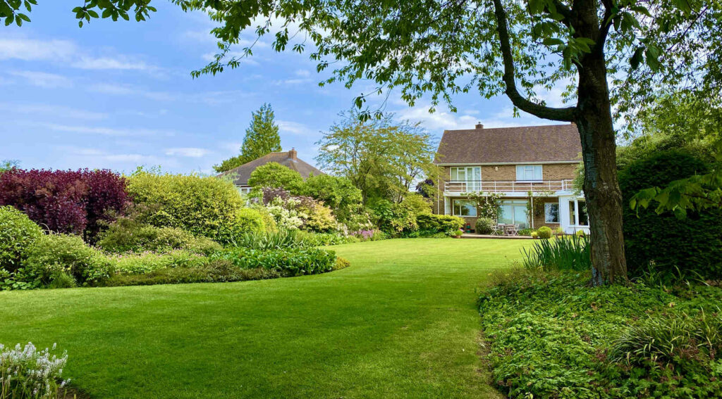 Lovely_green_shady_lawn