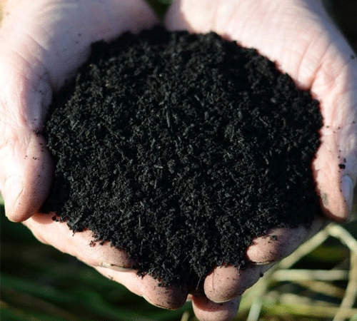organic soil improver held in hands